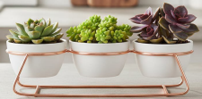 https://allotrope.in/storage/photos/1/newprd/219_3_POT_TABLESTAND_1306.png